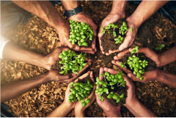 Nätverksträff för matmakare i Vallentuna