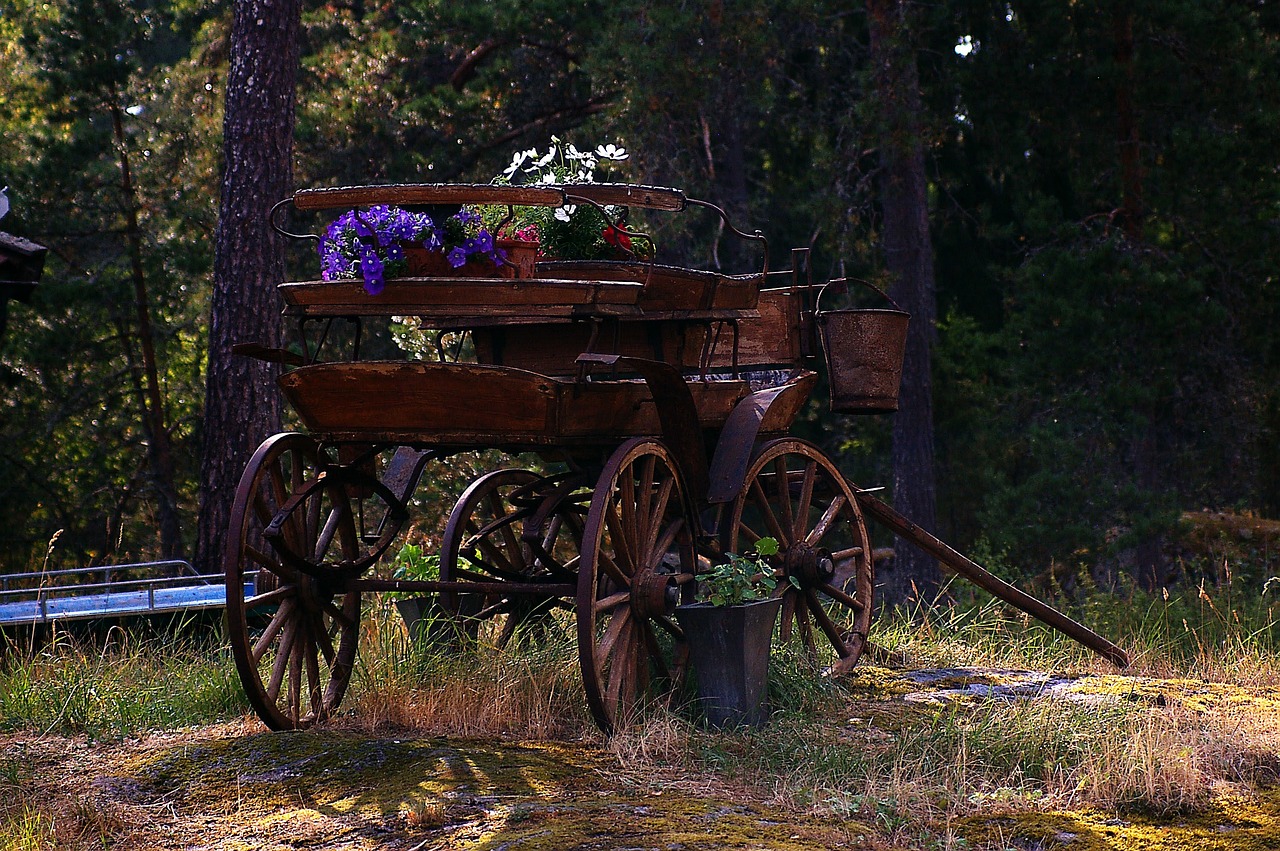 🌿 Välkommen till Mat och smaker – vår nya medlemsportal! 🌿